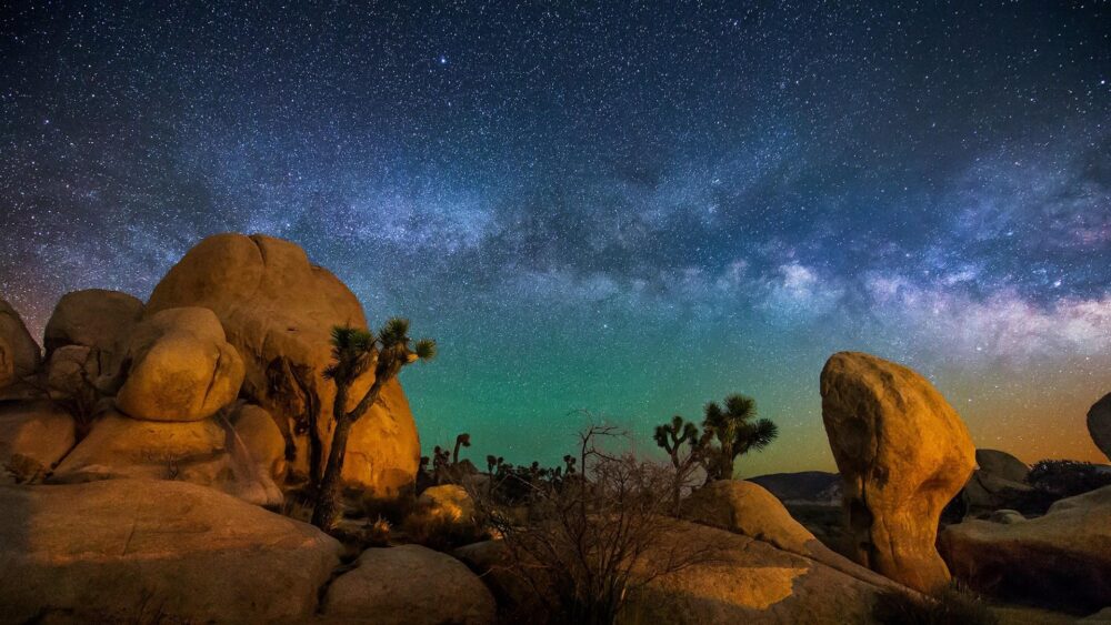 Joshua Tree National park | %%mainstream news%%